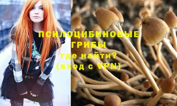 шишки Белокуриха