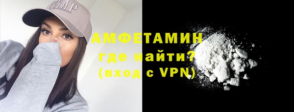 шишки Белокуриха
