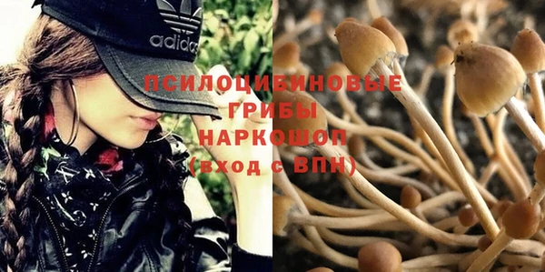 гидра Осташков
