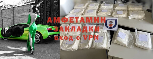 индика Осинники