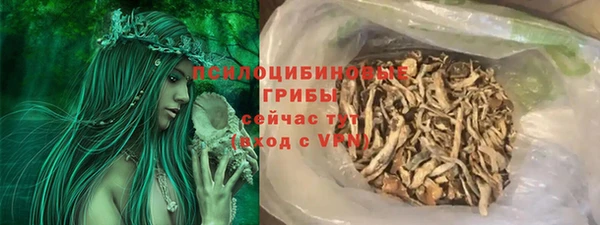 индика Осинники